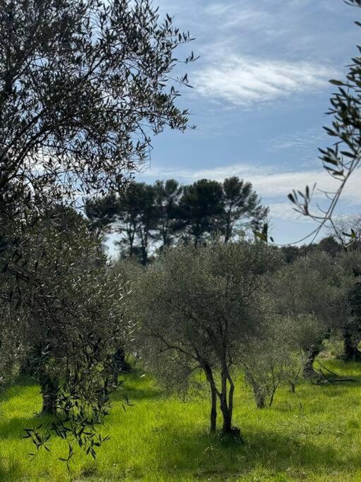 Maison Rayon De Soleil Opio Buitenkant foto